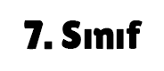 7.Sınıf