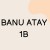 Banu Atay Banu Atay